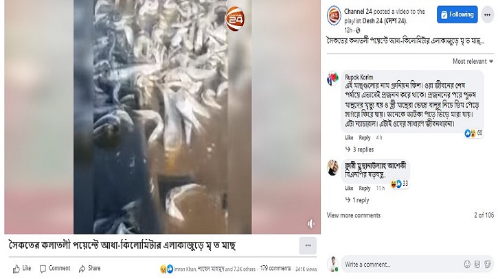 সামাজিক যোগাযোগ মাধ্যমে ছড়িয়ে পড়েছে কক্সবাজারে মৃত মাছ উঠে আসার ভিডিওটি