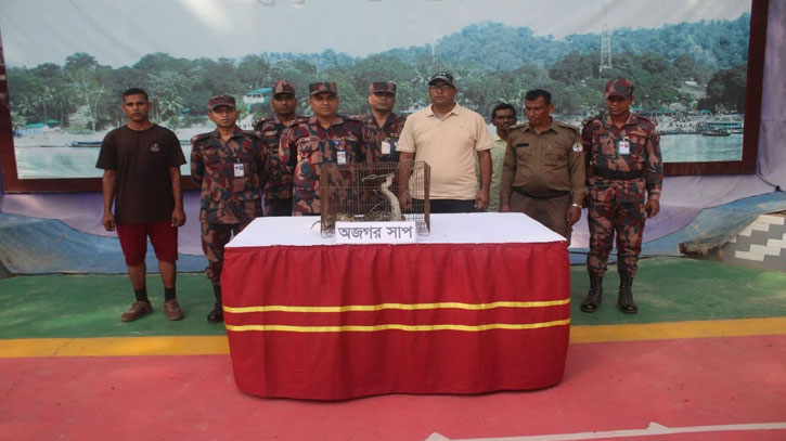 উদ্ধারকৃত অজগর সাপ 