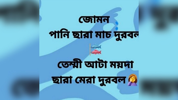 বেহাল বাংলা, বেতাল ভাষা! বেহাল বাংলা, বেতাল ভাষা!