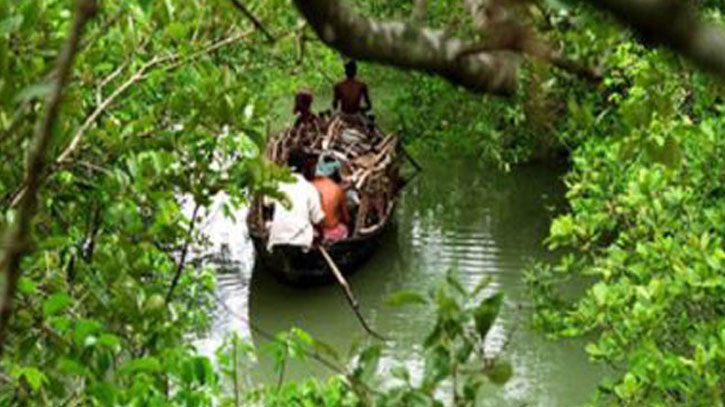 সুন্দরবনে অবৈধভাবে প্রবেশের দায়ে ১১ জেলে আটক