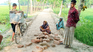 নির্বাচনে ফেল, রাস্তার ইট তুলে নিচ্ছেন সাবেক চেয়ারম্যান