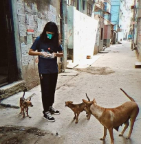 সামিয়া আর কুকুরকে খাবার দেবে না