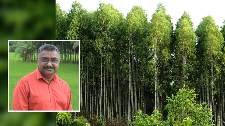 নন্দ ঘোষ-ইউক্যালিপ্টাস ও আমাদের দেখনদারি রক্ষণশীলতা নন্দ ঘোষ-ইউক্যালিপ্টাস ও আমাদের দেখনদারি রক্ষণশীলতা