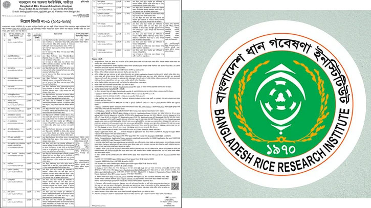 ধান গবেষণা ইনস্টিটিউটে ৬ষ্ঠ থেকে ২০তম গ্রেডে চাকরি