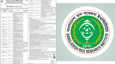 ধান গবেষণা ইনস্টিটিউটে ৬ষ্ঠ থেকে ২০তম গ্রেডে চাকরি