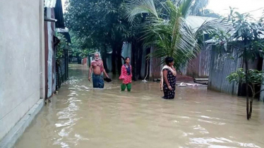 নেত্রকোনায় নদ-নদীর পানি বৃদ্ধি পেয়ে নিম্নাঞ্চল প্লাবিত