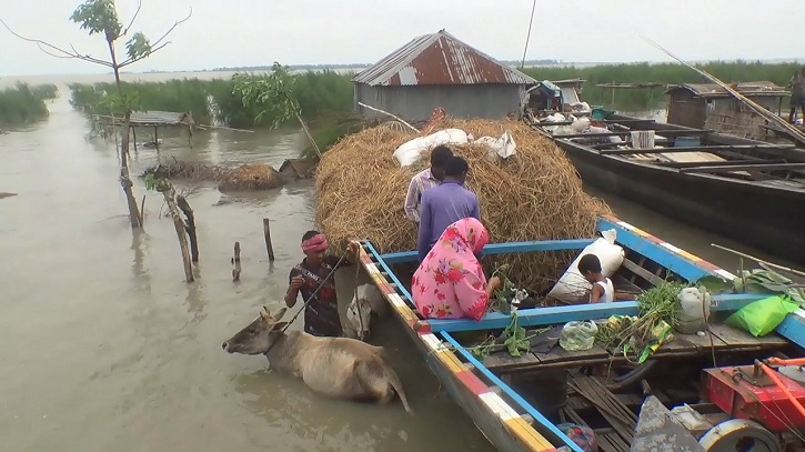 কুড়িগ্রামে হু-হু করে বাড়ছে ব্রহ্মপূত্র ও ধরলা নদীর পানি