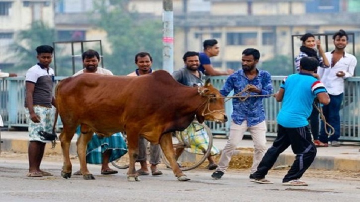 যেসব কারণে ভাগে কোরবানি হবে না