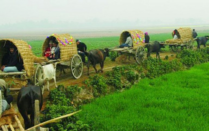 উপকূলীয় অঞ্চলে কালো সোনা উন্নয়ন উপাখ্যান