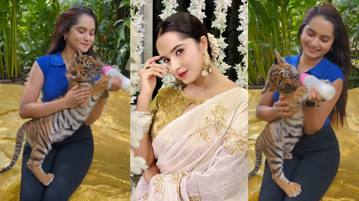 বাঘের বাচ্চাকে দুধ খাওয়াচ্ছেন কেয়া পায়েল (ভিডিও) বাঘের বাচ্চাকে দুধ খাওয়াচ্ছেন কেয়া পায়েল (ভিডিও)