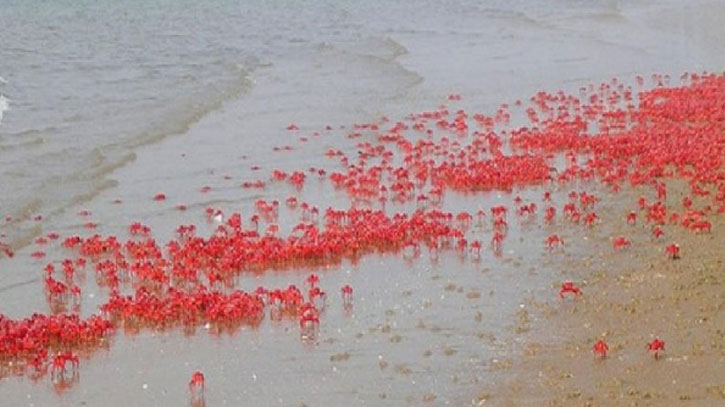 Xohish va qullar qadimiy porno