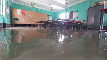 কাঠালিয়ায় অর্ধশত শিক্ষা প্রতিষ্ঠান, আশ্রয়নের ঘরসহ ২৭ গ্রাম প্লাবিত