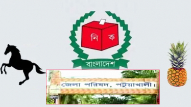 আনারসের বিরুদ্ধে জীবননাশের অভিযোগ ঘোড়ার