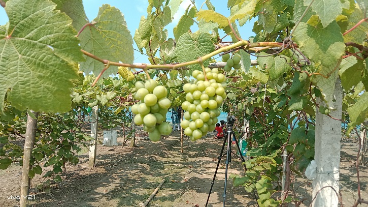 MILF guruh jinsiy aloqa Yosh bokira jinsiy aloqa