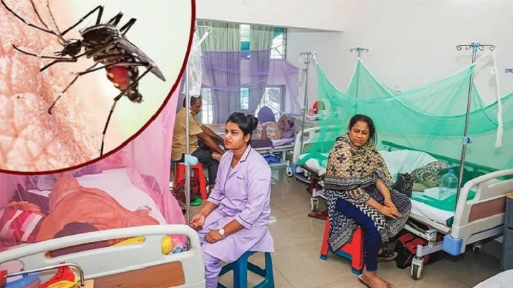 ডেঙ্গুতে মৃত্যুহার বৃদ্ধির কারণ জানতে ডেথ রিভিউ কমিটি গঠন ডেঙ্গুতে মৃত্যুহার বৃদ্ধির কারণ জানতে ডেথ রিভিউ কমিটি গঠন