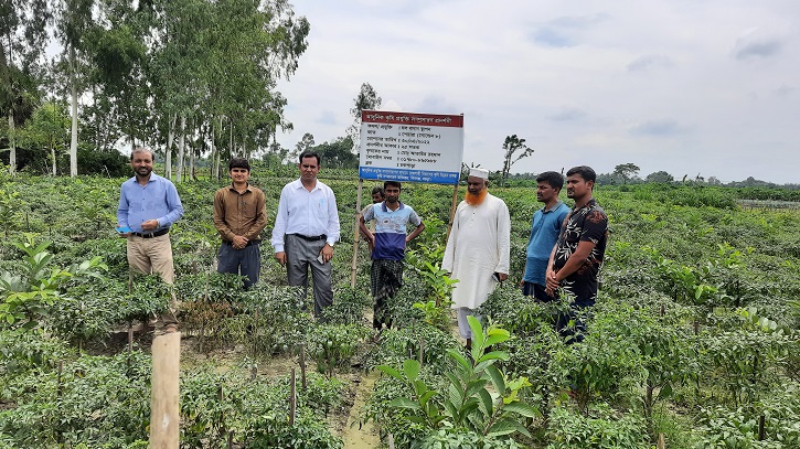 রাজশাহী বিভাগের কৃষি উন্নয়ন প্রকল্পে অপার সম্ভাবনা রাজশাহী বিভাগের কৃষি উন্নয়ন প্রকল্পে অপার সম্ভাবনা