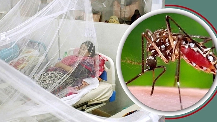 ডেঙ্গুতে প্রাণ হারালো আরও ৩ জন ডেঙ্গুতে প্রাণ হারালো আরও ৩ জন