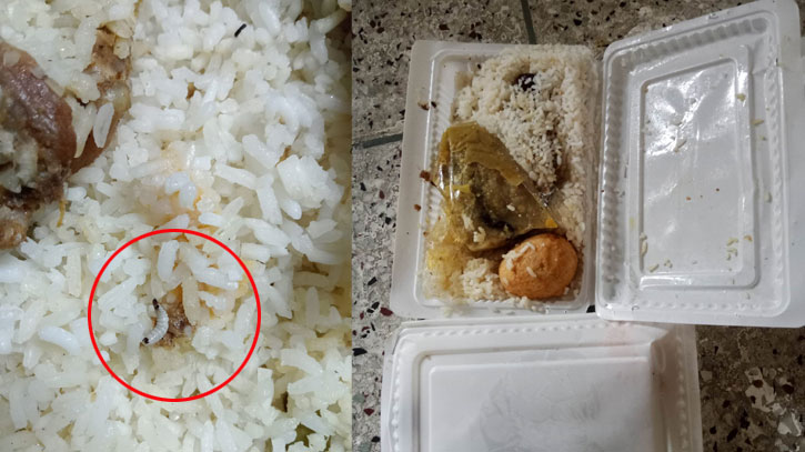 স্বাধীনতা দিবসের খাবারে মিললো পোকা, ফেলে দিয়ে প্রতিবাদ স্বাধীনতা দিবসের খাবারে মিললো পোকা, ফেলে দিয়ে প্রতিবাদ