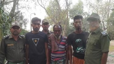 কিটনাশক দিয়ে মাছ শিকার, তিন জেলে আটক