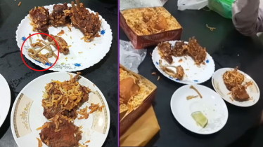 সুলতান`স ডাইনের মাংস নিয়ে সন্দেহ, ফেসবুক গুঞ্জন (ভিডিও)