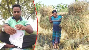 সার্টিফিকেট ছিঁড়ে ফেলা সেই বাদশা এখন কৃষক