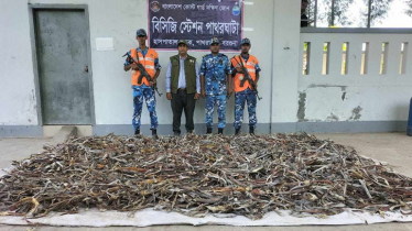 অভিযানে মিললো ৫ কোটি টাকা মূল্যের নিষিদ্ধ হাঙর