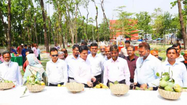 সাতক্ষীরার আম বিশ্বব্যাপী ছড়িয়ে দিতে প্রদর্শনী অনুষ্ঠিত
