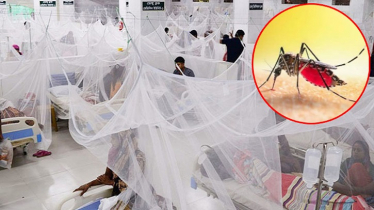 ডেঙ্গুতে আরও ৯ জনের মৃত্যু, হাসপাতালে ১৭৫৫