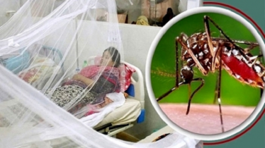 ডেঙ্গুতে আরও ১০ জনের মৃত্যু, হাসপাতালে ২ হাজার ৫৮৪