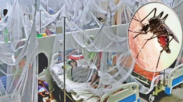 ডেঙ্গুতে আরও ১২ জনের মৃত্যু