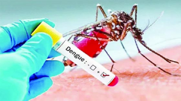 ডেঙ্গুতে একদিনে ১৪ জনের প্রাণহানি