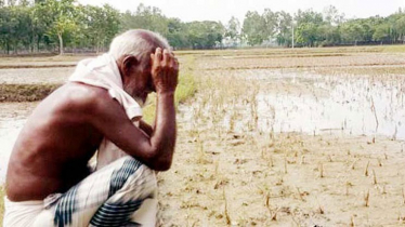 আবহাওয়াবার্তা নিয়ে ফেসবুকের ভুল তথ্যে ভুগছে কৃষক