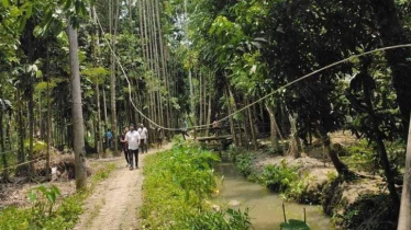 পরীক্ষা শেষে বাড়ি ফেরা হলো না শিশু তাহসিন খলিফার