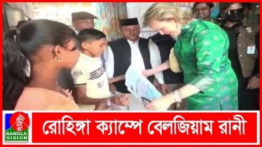 রোহিঙ্গা নিয়ে আনলিমিটেড তামাশা