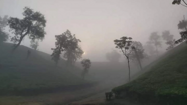 মাঘের শীতে কাঁপছে শ্রীমঙ্গল