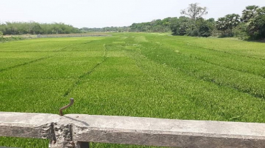 এইখানে এক নদী ছিল!