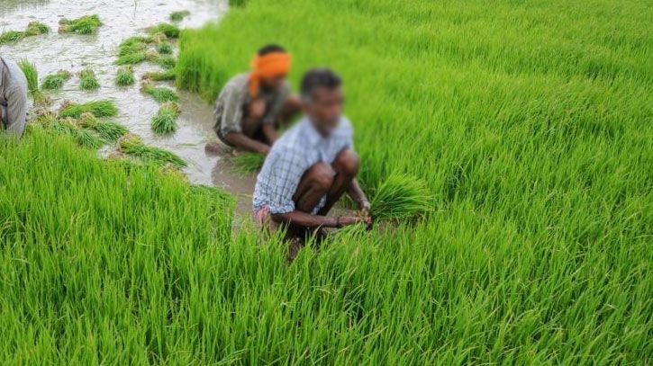 খেলাপি কৃষি ঋণ আদায় ইতিবাচক