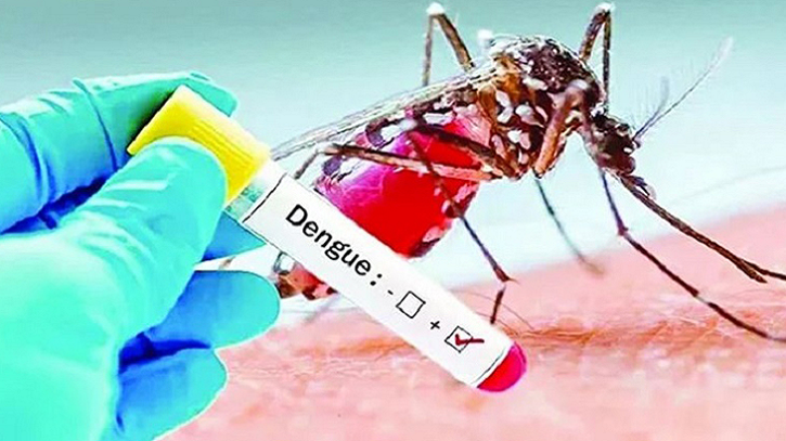 সেপ্টেম্বরের প্রথম ১৪ দিনে ডেঙ্গুতে প্রাণহানির রেকর্ড সেপ্টেম্বরের প্রথম ১৪ দিনে ডেঙ্গুতে প্রাণহানির রেকর্ড