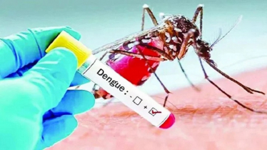 ডেঙ্গুতে আরও ১৭ জনের মৃত্যু