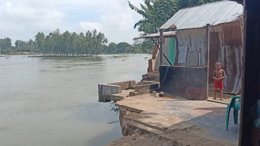 দিনাজপুরে করতোয়া নদীর বাঁধ ভাঙ্গনে বিলীন ঘর-বাড়ি 