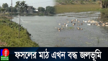 জলাবদ্ধতায় অনাবাদী নড়াইলের হাজার হাজার একর জমি