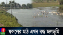 জলাবদ্ধতায় অনাবাদী নড়াইলের হাজার হাজার একর জমি