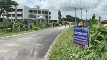 পিকআপ ভ্যান চাপায় অটোরিকশা যাত্রী নিহত 