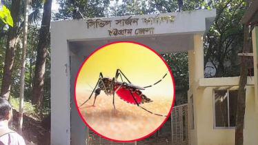 ডেঙ্গুতে চট্টগ্রামে চলছে ভয়াবহ সেপ্টেম্বর, হাসপাতালে ৩ সহস্রাধিক