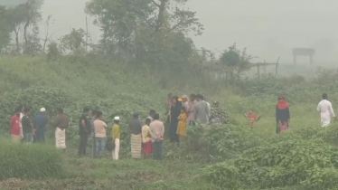 গভীর রাতে ডাকাত সন্দেহে গণপিটুনি, নিহত ২