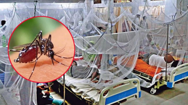 চট্টগ্রামে ডেঙ্গু আক্রান্ত হয়ে আরো একজনের মৃত্যু 