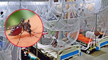 ২৪ ঘণ্টায় ডেঙ্গুতে ৯ জনের মৃত্যু, হাসপাতালে ভর্তি ২৩৫৭