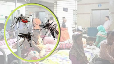 ডেঙ্গুতে আরও ৭ জনের মৃত্যু, হাসপাতালে ভর্তি ৩০২৭