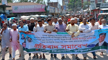 বিএনপি নেতা দুলুর নামে ডিজিটাল অ্যাক্ট মামলার প্রতিবাদে বিক্ষোভ