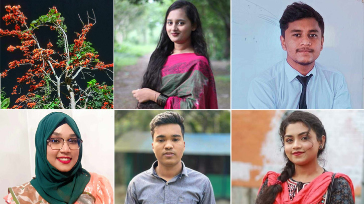 পলাশফুলের সৌন্দর্য যেন নক্ষত্রের ঝলকানি পলাশফুলের সৌন্দর্য যেন নক্ষত্রের ঝলকানি